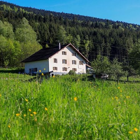 Le Guardabarranco Saulxures-sur-Moselotte Dış mekan fotoğraf